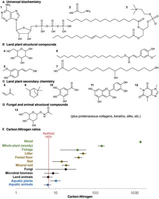 Evolution of terrestrial herbivory: nutrient stoichiometry, body size, and dietary diversity